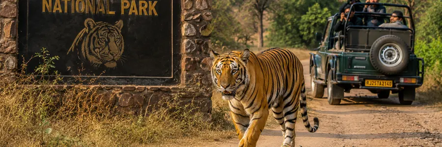 Ranthambore National Park